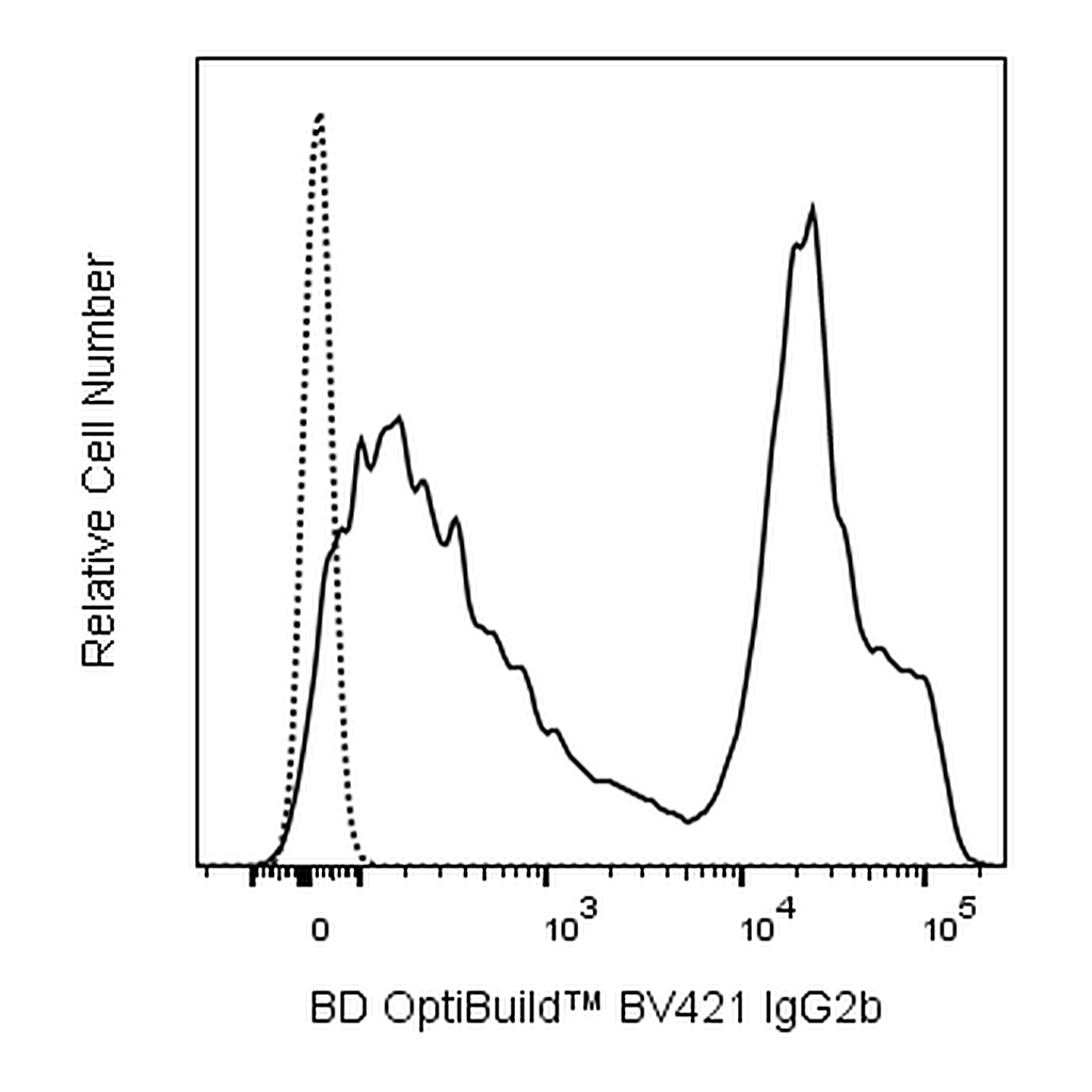 BD BV421 Mouse Anti-Rat IgG2b