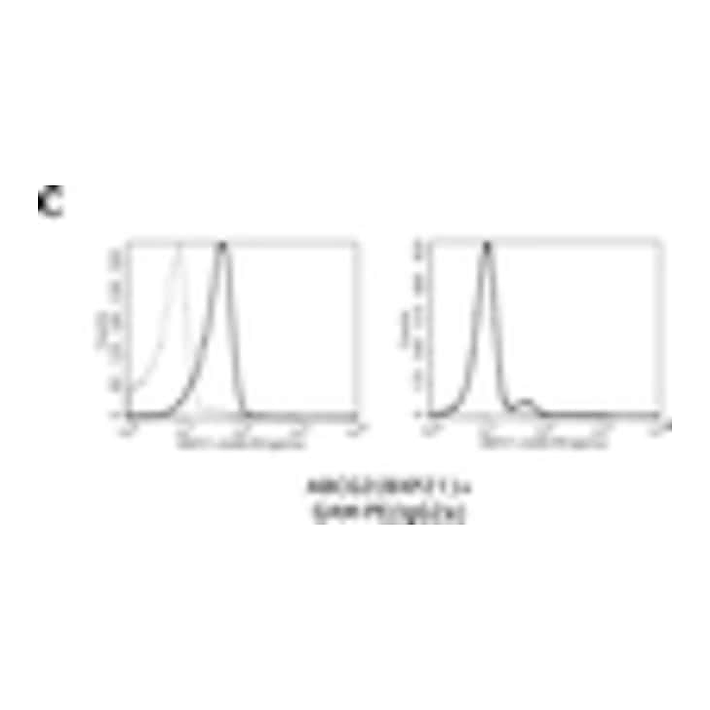 Thermo Fisher Scientific Goat anti-Mouse IgG2a Cross-Adsorbed Secondary Antibody, PE