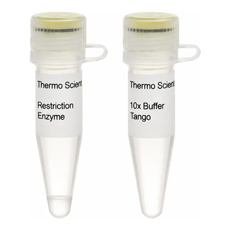 Thermo Fisher Scientific Pfl23II (BsiWI) (3 U/μL)