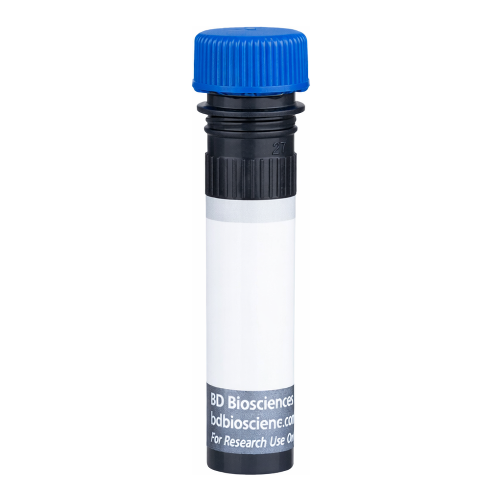 BD BUV496 Rat Anti-Mouse Vβ 11 T-Cell Receptor