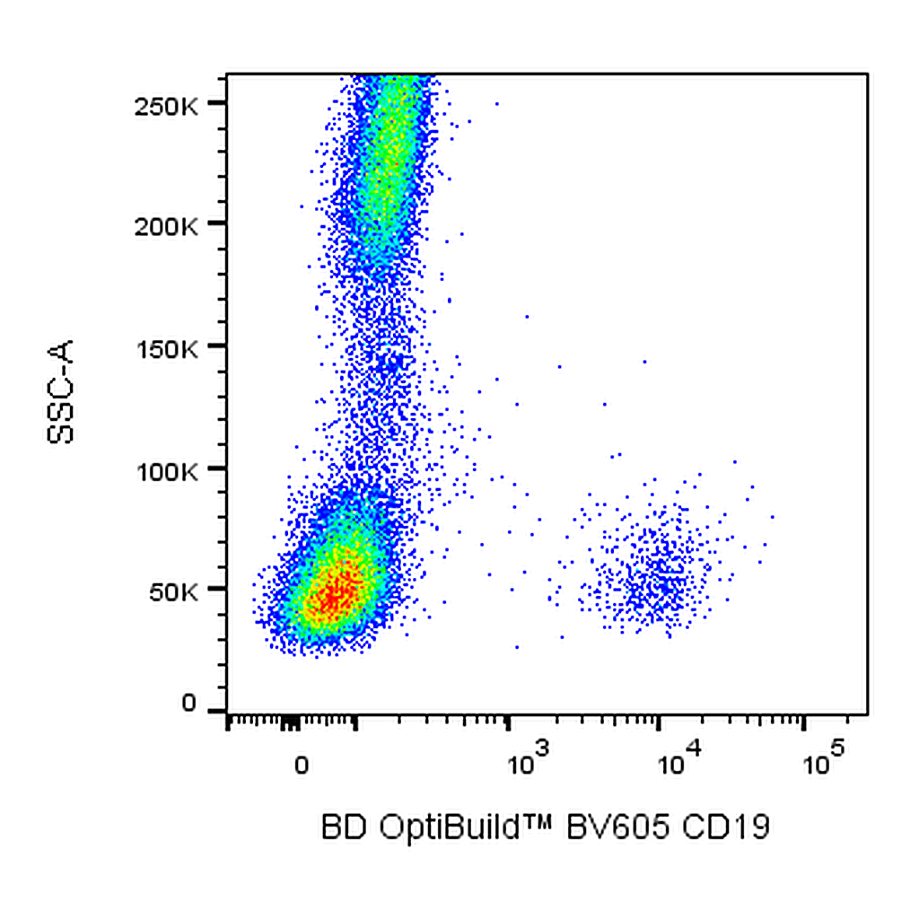 BD BV605 Mouse Anti-Human CD19