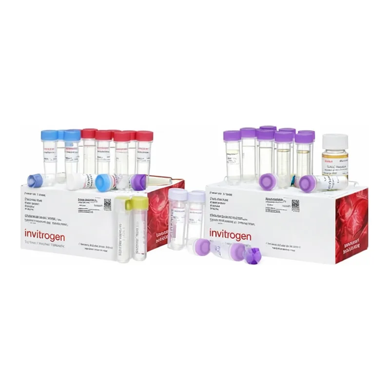 Thermo Fisher Scientific Zero Blunt TOPO PCR Cloning Kit for Sequencing, with One Shot TOP10 Chemically Competent E. coli, 25 Reactions
