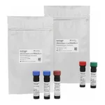 Thermo Fisher Scientific eBioscience Essential Human T-Cell Phenotyping Kit