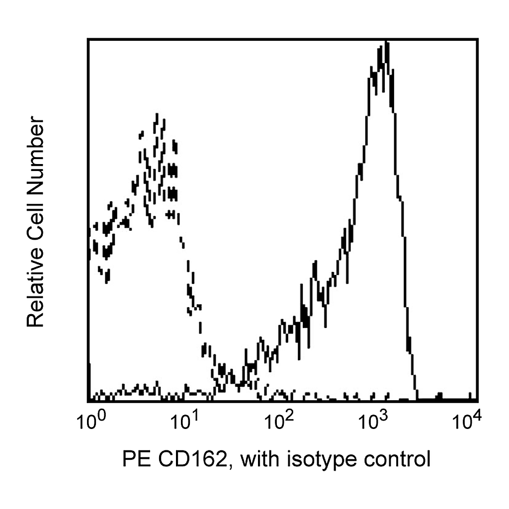 BD PE Mouse Anti-Human CD162