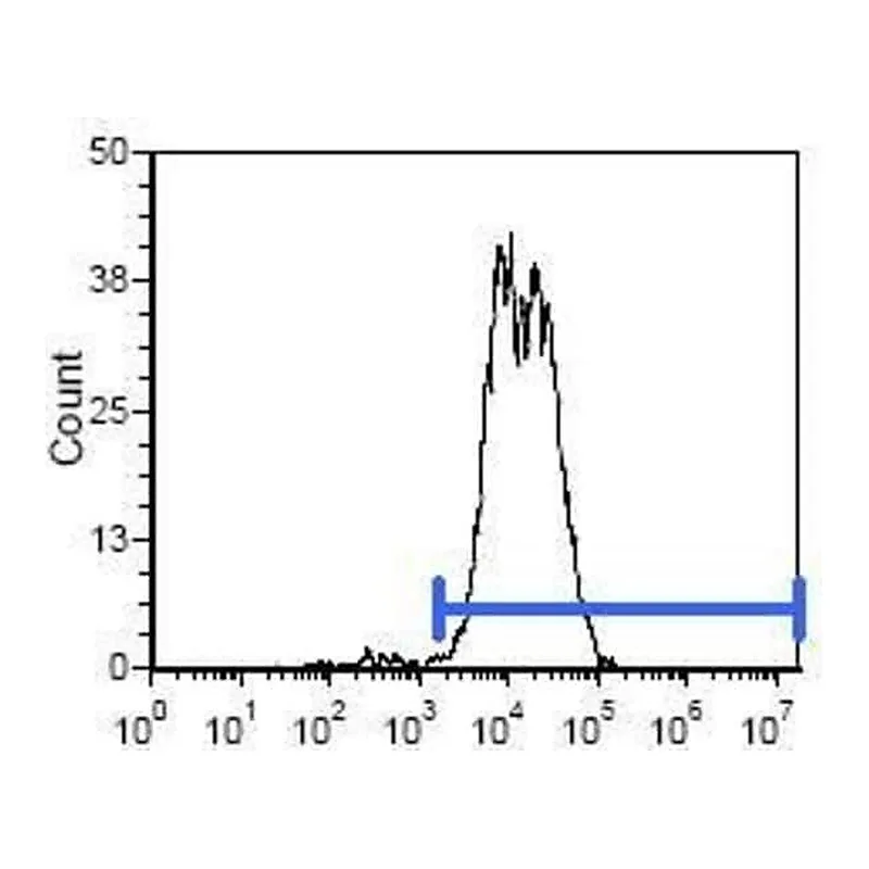 Thermo Fisher Scientific Mouse anti-Rat IgG2b Secondary Antibody, PE