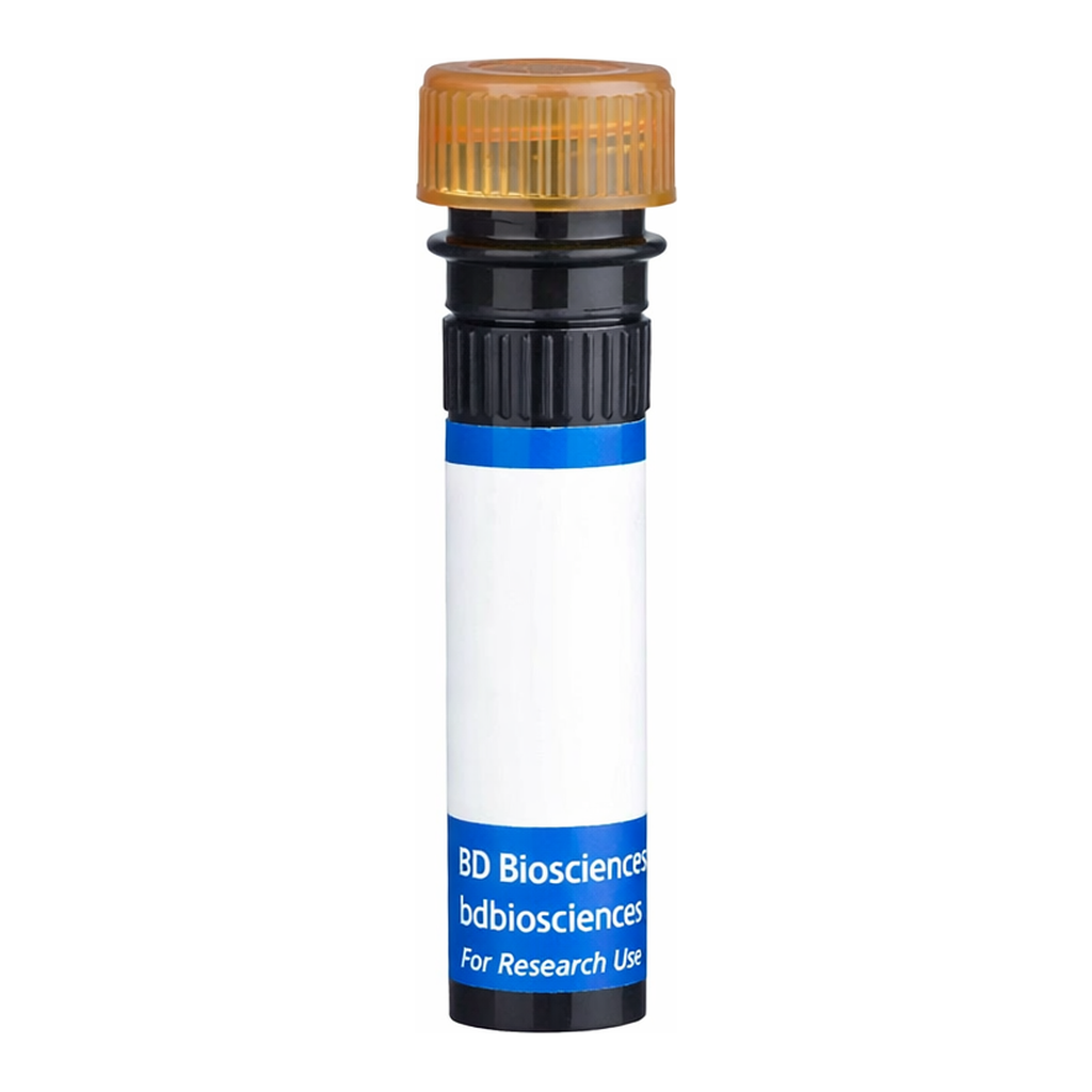 BD BB700 Rat Anti-Mouse Vβ 11 T-Cell Receptor