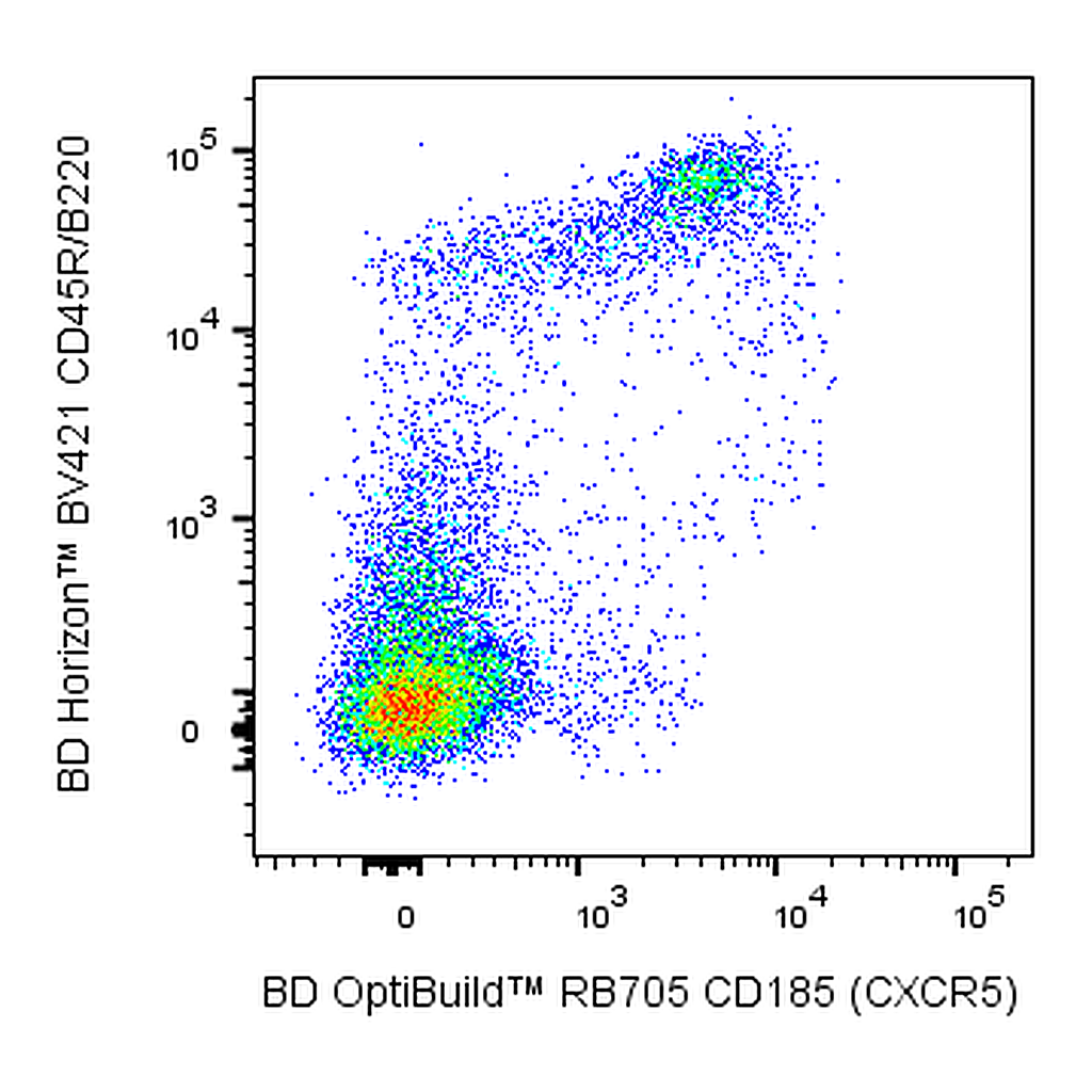 BD RB705 Rat Anti-Mouse CD185 (CXCR5)