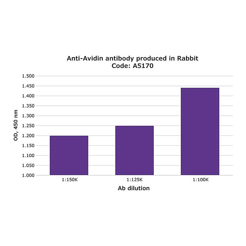 Merck Anti-Avidin antibody produced in rabbit
