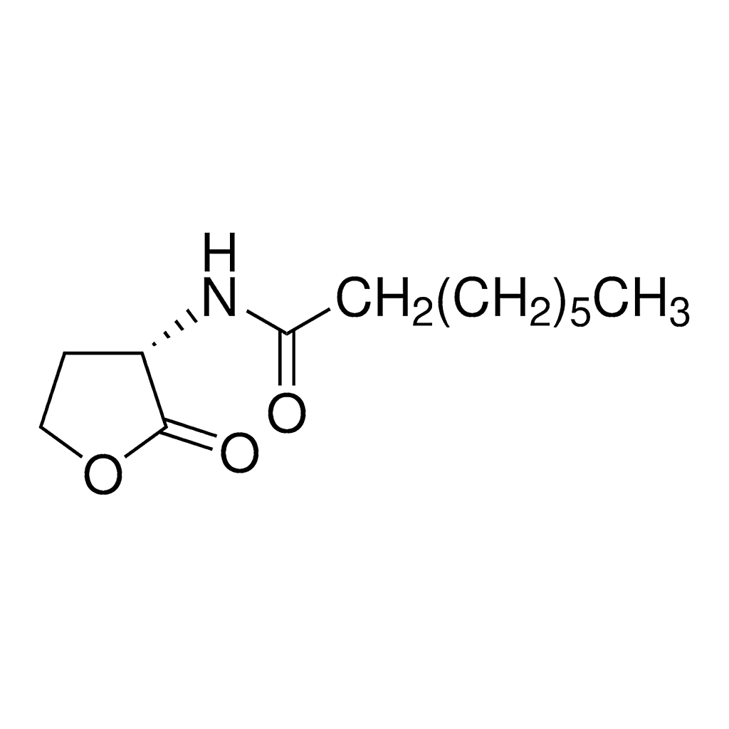 Merck N-Octanoyl-L-homoserine lactone
