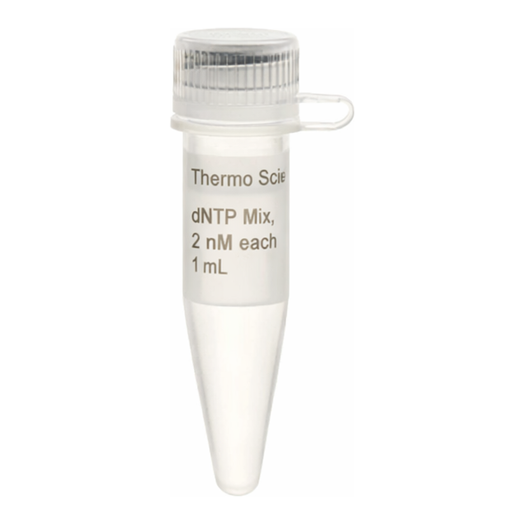 Thermo Fisher Scientific dNTP Mix (2 mM each), 1 mL
