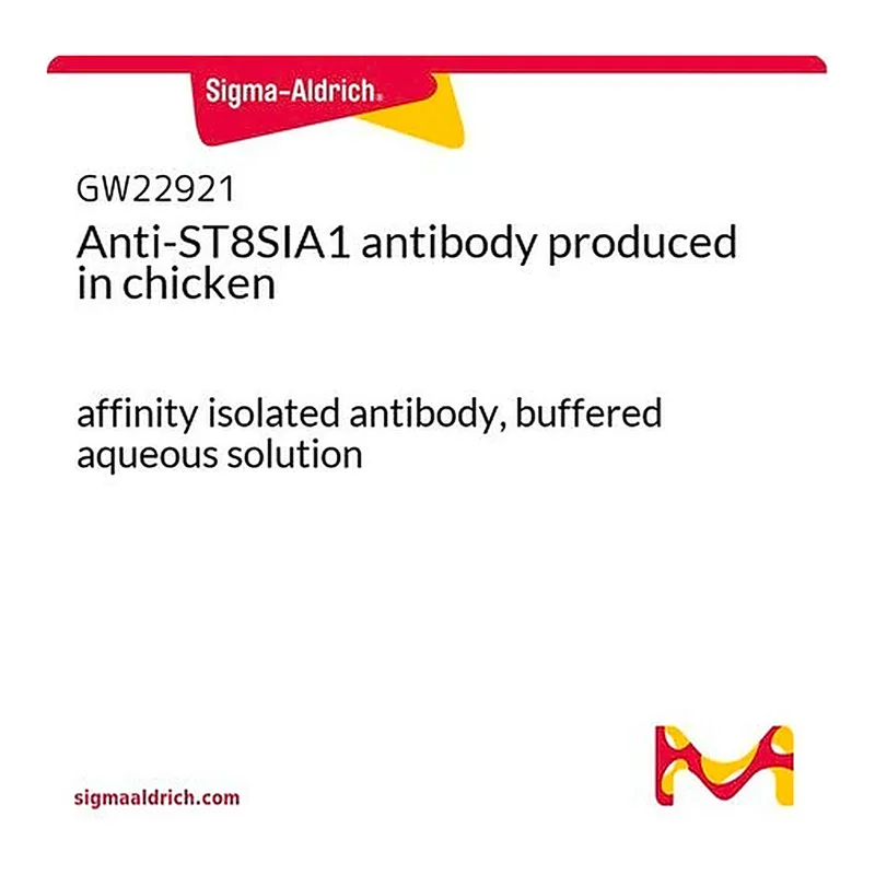 Merck Anti-ST8SIA1 antibody produced in chicken