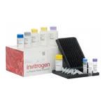 Thermo Fisher Scientific ProcartaPlex Mouse Antibody Isotyping Panel 2, 7plex