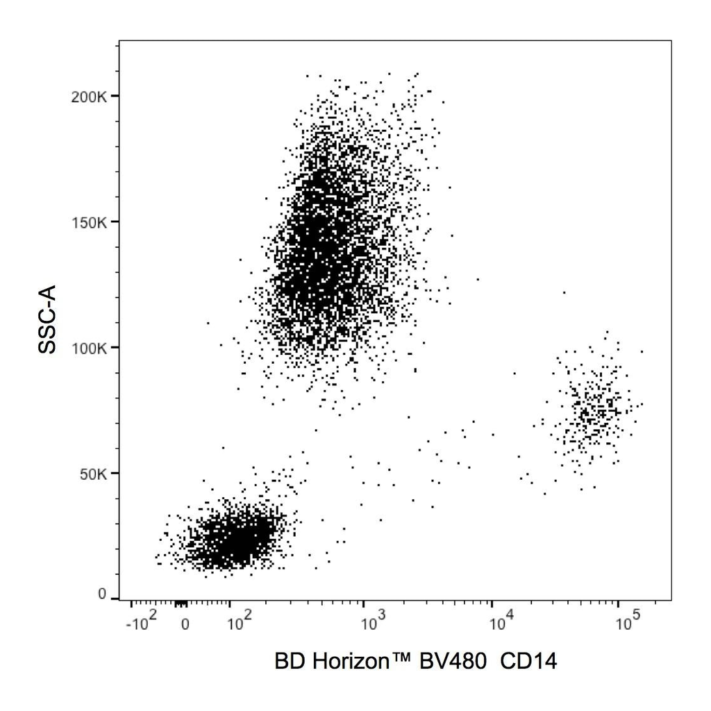 BD BV480 Mouse Anti-Human CD14