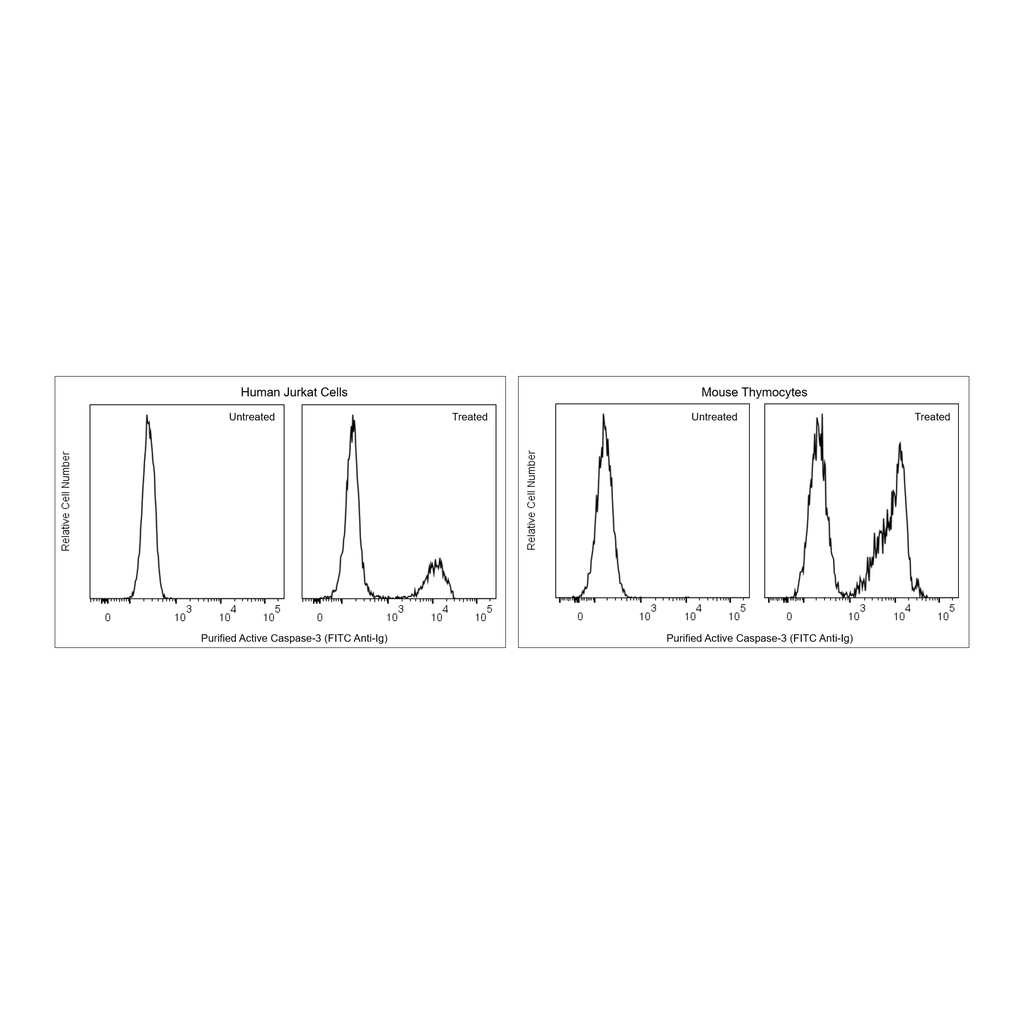 BD Purified Rabbit Anti-Active Caspase-3