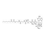 Merck 10:0 (3-Oxo) CoA