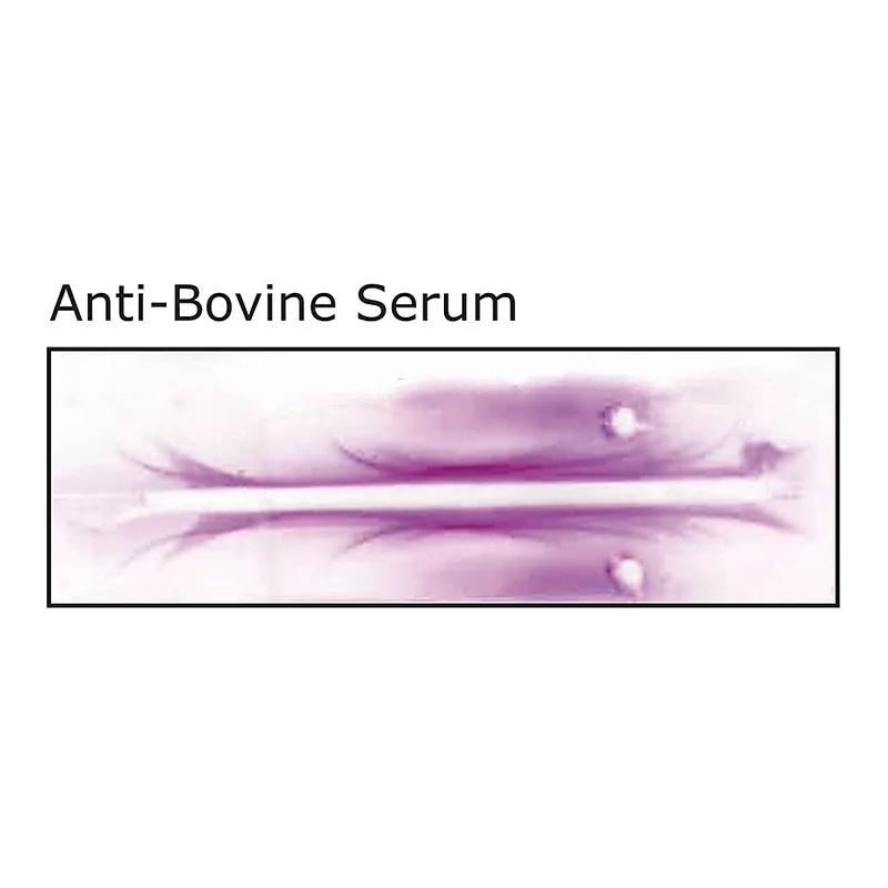 Merck Anti-Bovine Serum antibody produced in rabbit