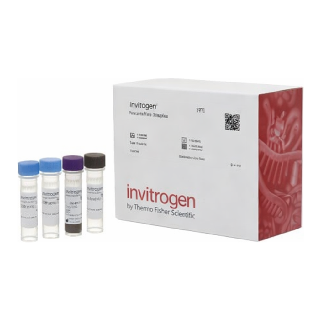 Thermo Fisher Scientific Human Osteoactivin (GPNMB) ProcartaPlex Simplex Kit