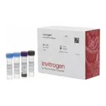 Thermo Fisher Scientific Human Osteoactivin (GPNMB) ProcartaPlex Simplex Kit