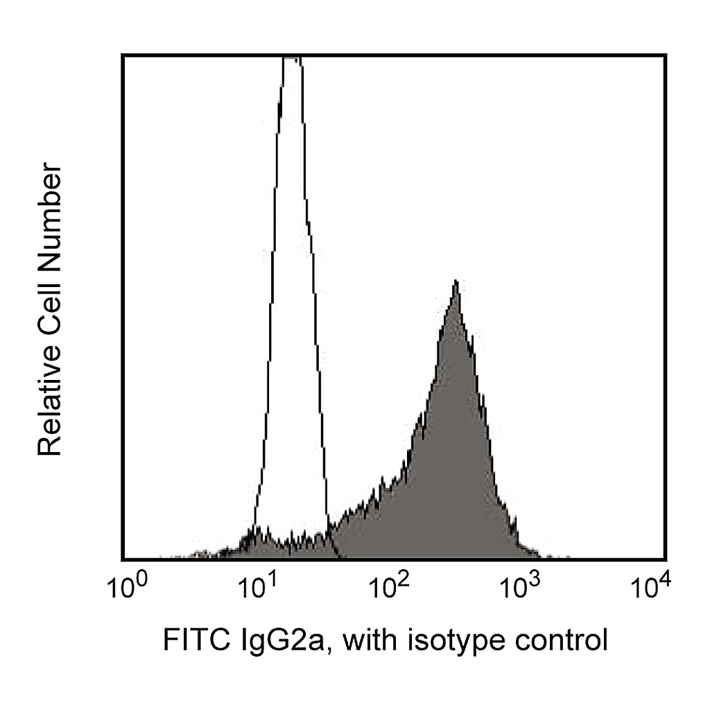 BD FITC Mouse Anti-Rat IgG2a