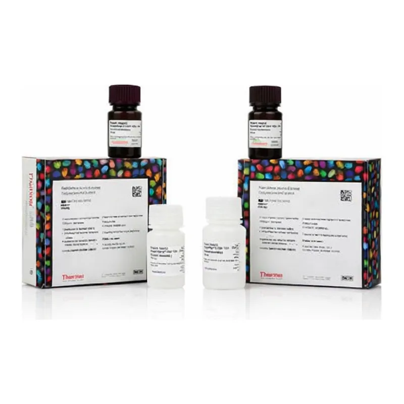 Thermo Fisher Scientific SuperSignal Western Blot Substrate Trial Pack, Atto & Pico PLUS