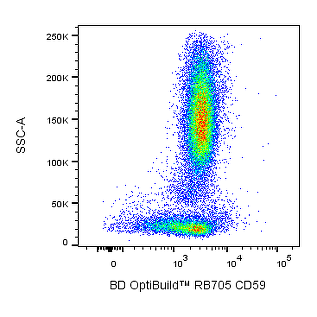 BD RB705 Mouse Anti-Human CD59