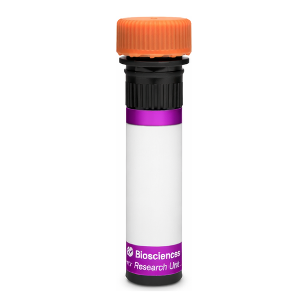BD BV605 Rat Anti-Mouse Folate Receptor β (FRβ)