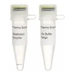 Thermo Fisher Scientific BseDI (BsaJI) (10 U/μL), 300 units