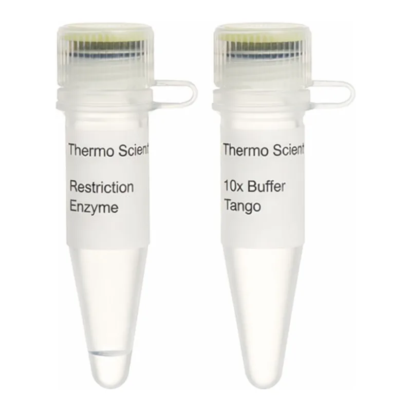 Thermo Fisher Scientific BseDI (BsaJI) (10 U/μL), 300 units
