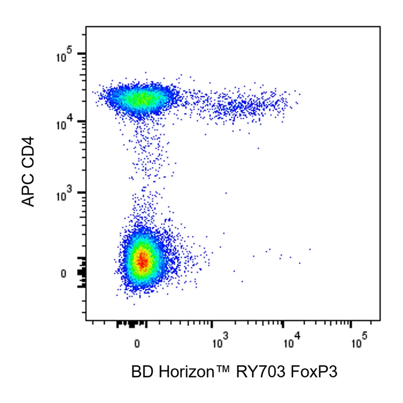 BD RY703 Mouse Anti-Human FoxP3