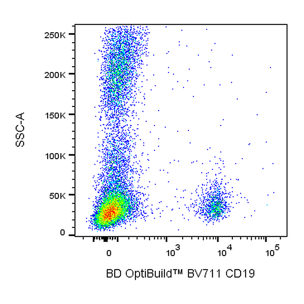 BD BV711 Mouse Anti-Human CD19