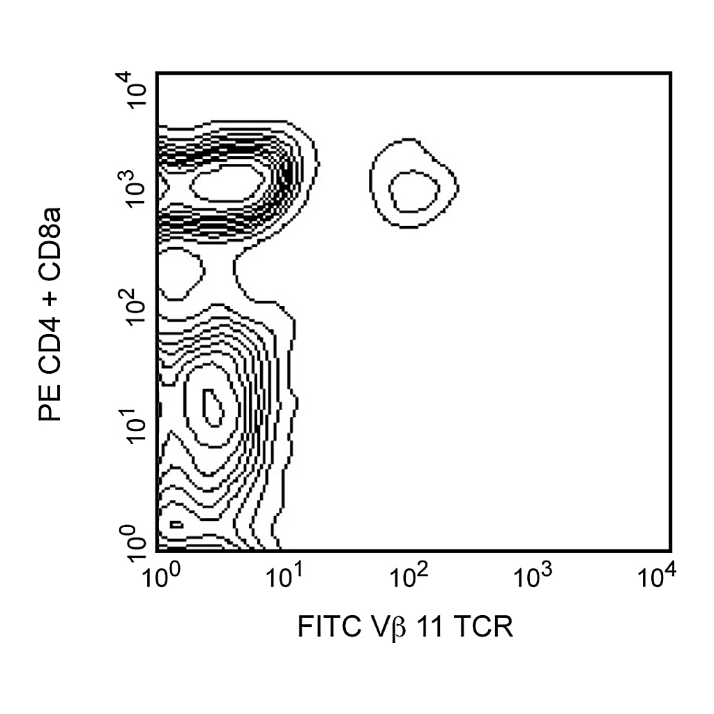 BD FITC Rat Anti-Mouse Vβ 11 T-Cell Receptor