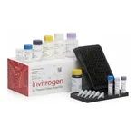 Thermo Fisher Scientific ProcartaPlex Rat Cytokine & Chemokine Panel, 22plex