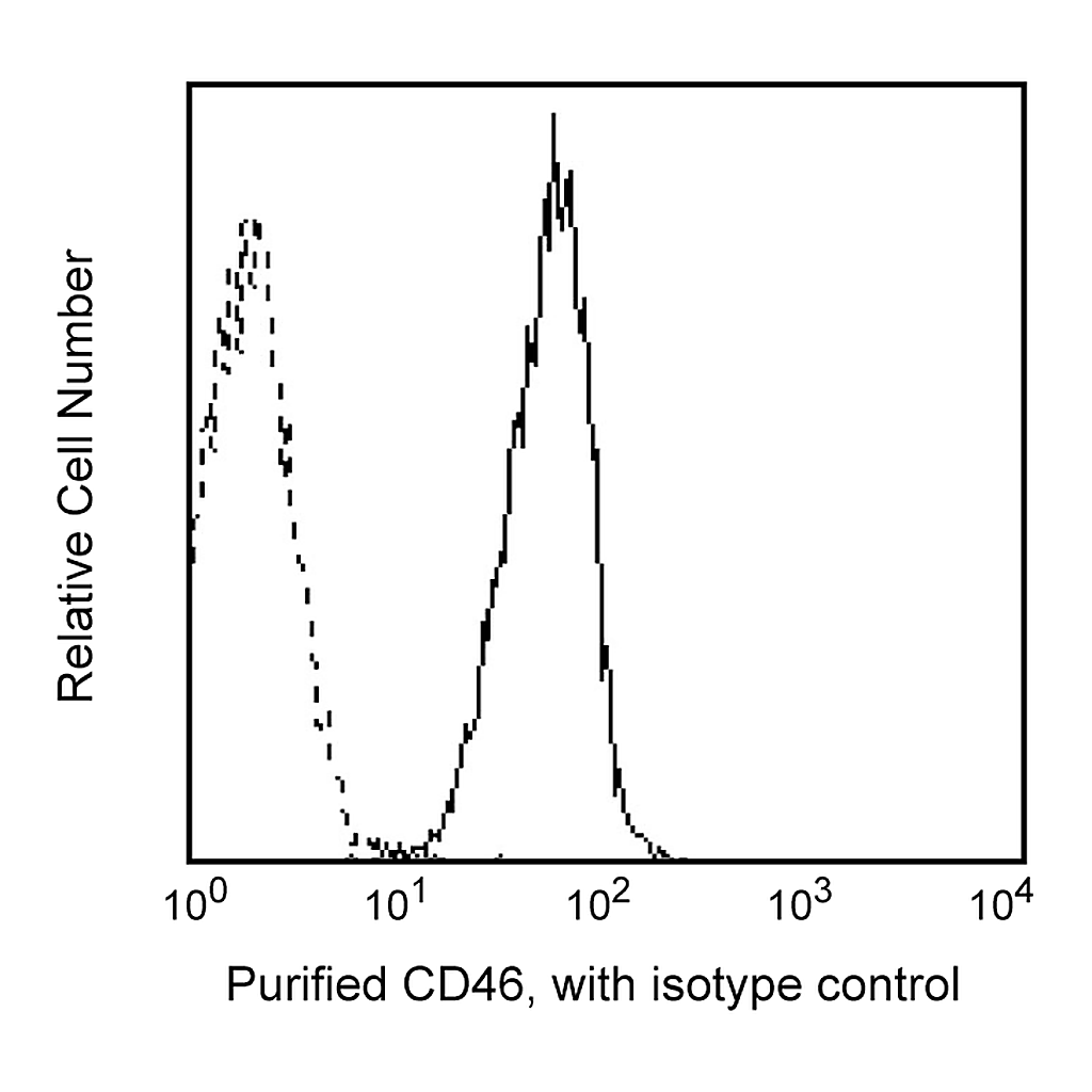 BD Purified Mouse Anti Human CD46