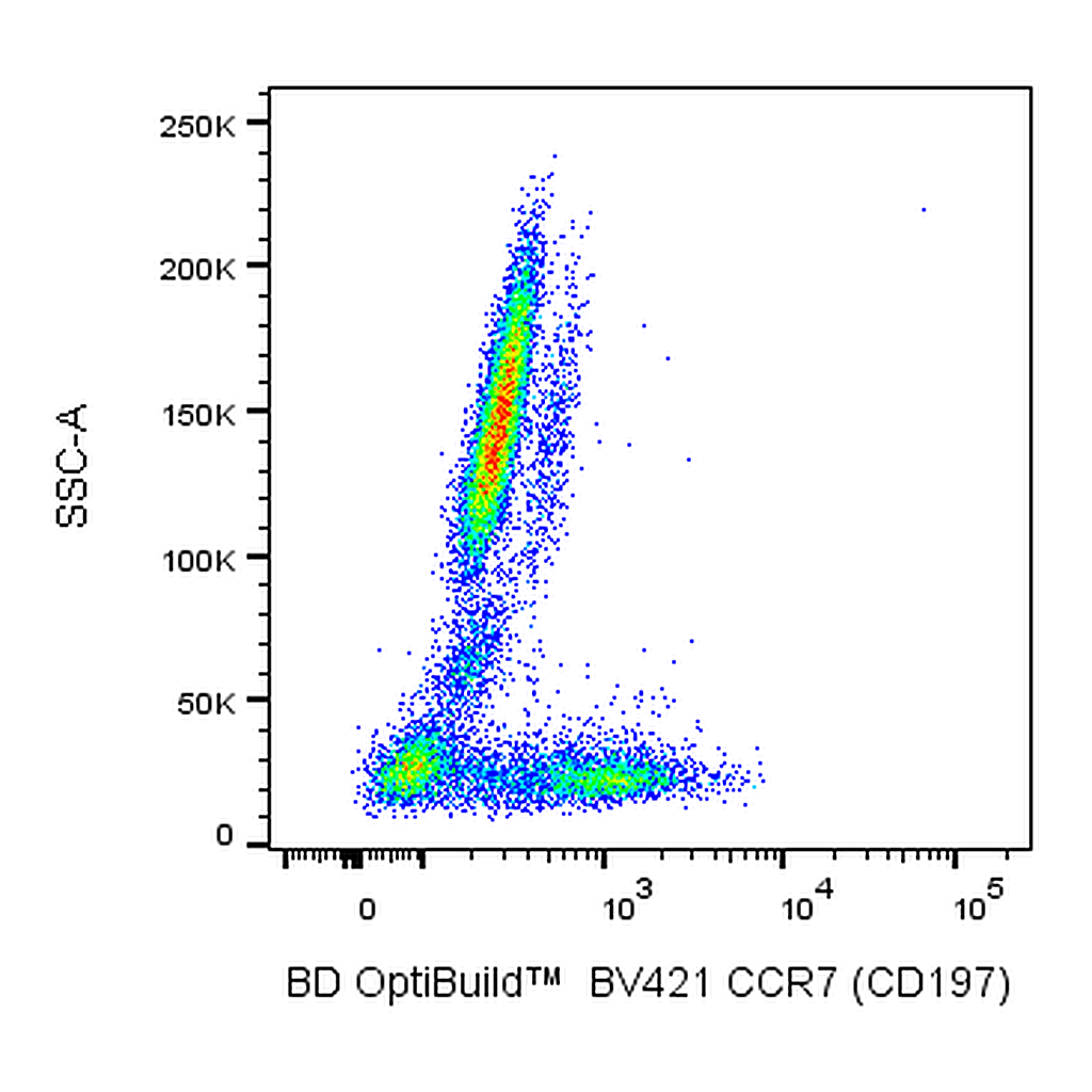 BD BV421 Rat Anti-Human CCR7 (CD197)