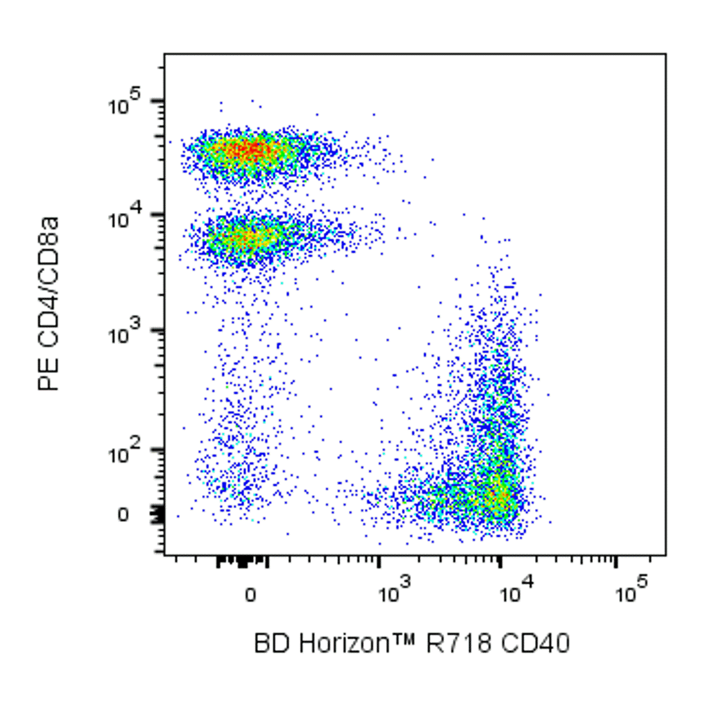 BD R718 Rat Anti-Mouse CD40