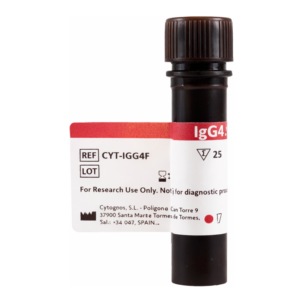 BD IgG4-FITC