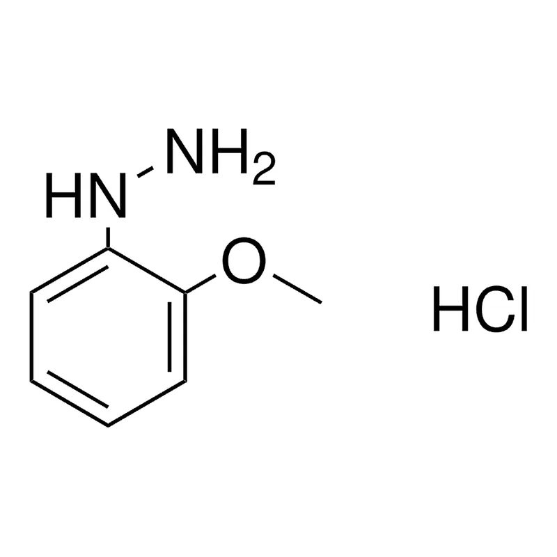 Merck (2-METHOXY-PHENYL)-HYDRAZINE, HY-