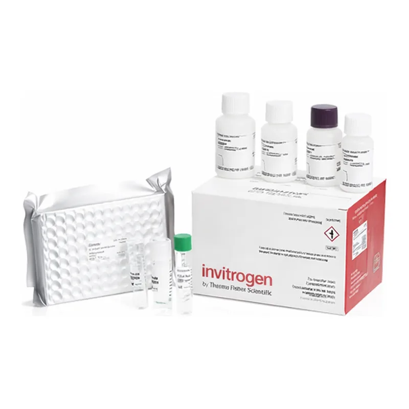 Thermo Fisher Scientific Human IL-6 Rapid ELISA Kit
