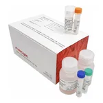 Thermo Fisher Scientific Click-iT RNA Alexa Fluor 594 Imaging Kit