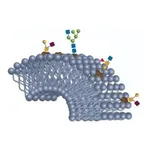 Merck BIOSHELL GLYCAN 2.7UM 10CM X 2.1MM ID &