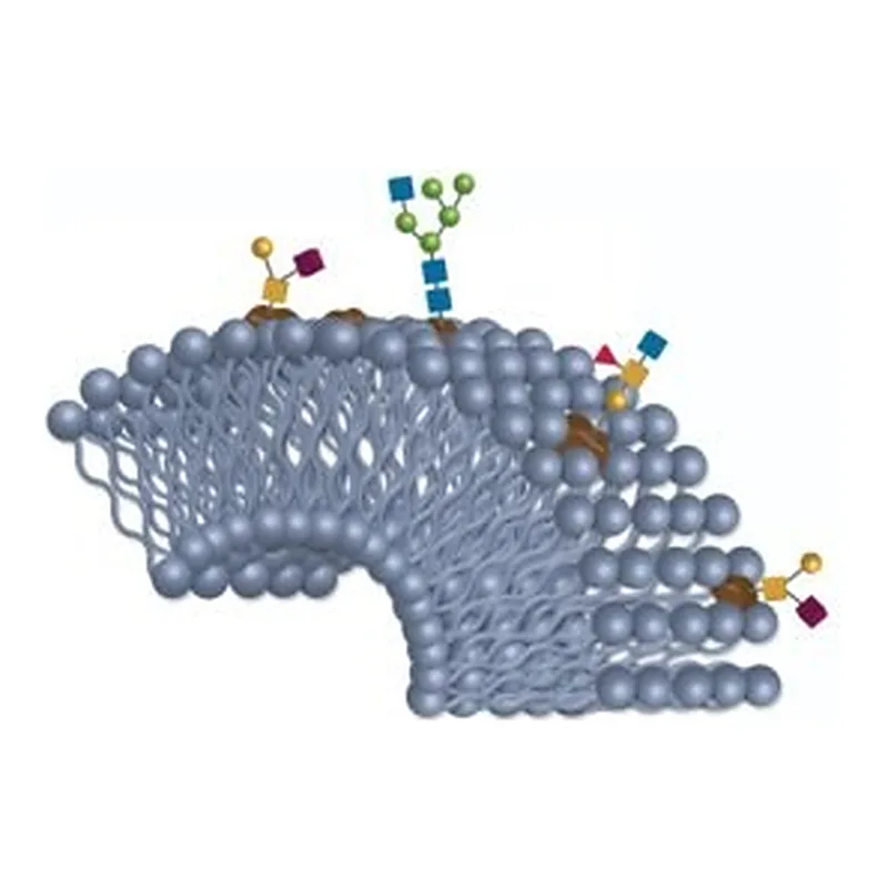Merck BIOSHELL GLYCAN 2.7UM 10CM X 2.1MM ID &