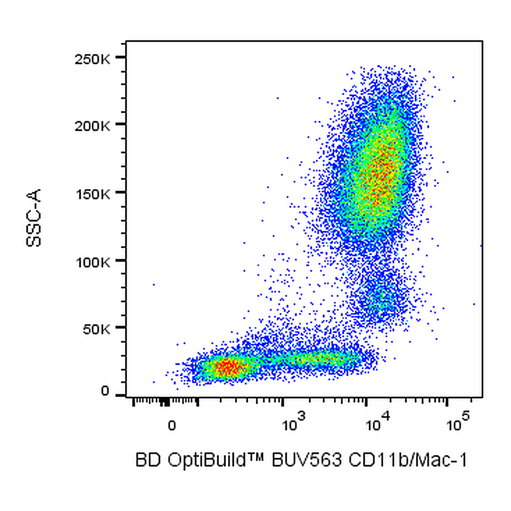BD BUV563 Mouse Anti-Human CD11b