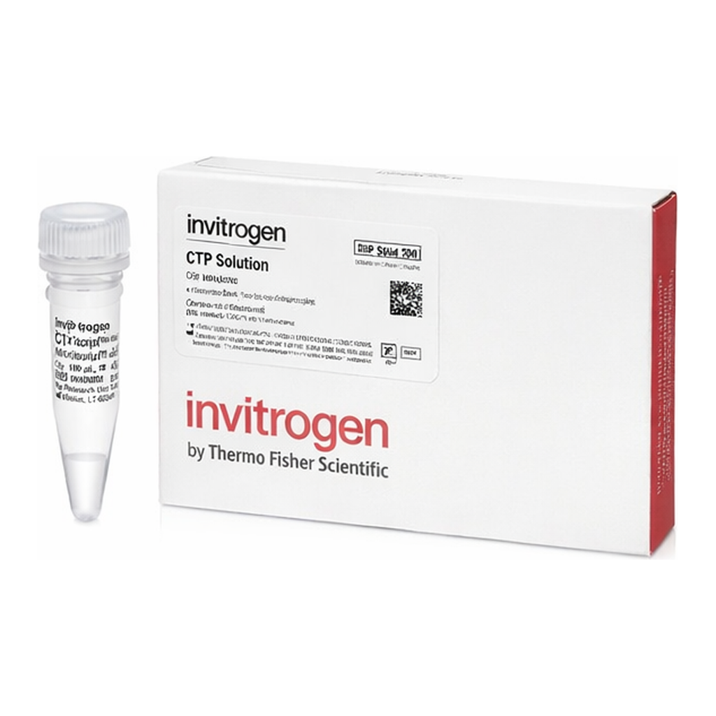 Thermo Fisher Scientific CTP Soln. (10 mM)