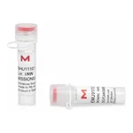 Merck MISSION(R) esiRNA