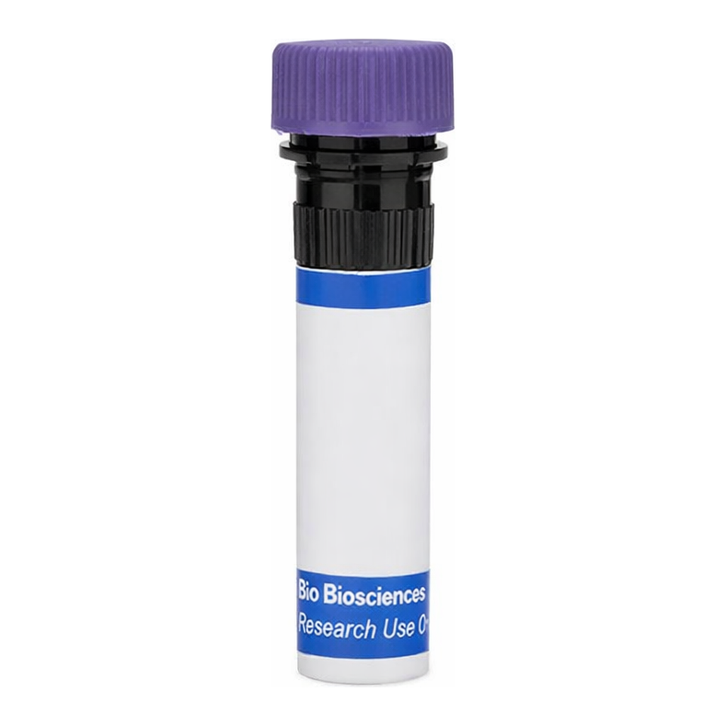 BD RB744 Biosimilar Anti-Human CD20