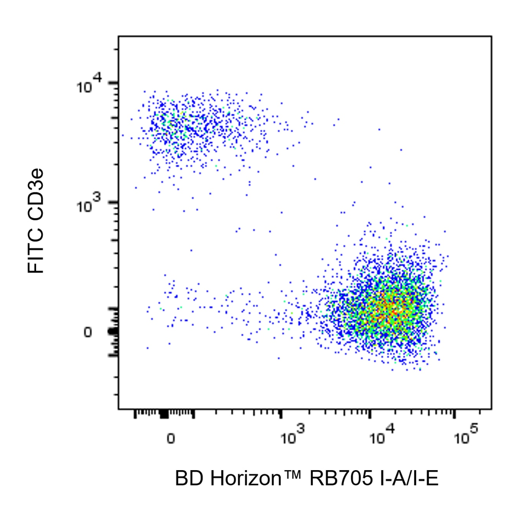 BD RB705 Rat Anti-Mouse I-A/I-E