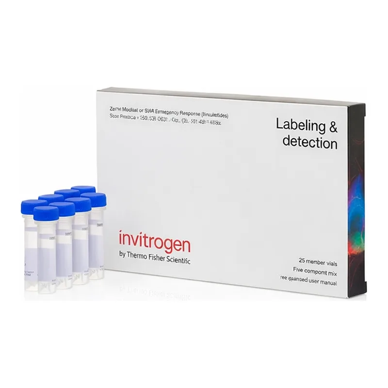 Thermo Fisher Scientific FM 4-64 Dye (N-(3-Triethylammoniumpropyl)-4-(6-(4-(Diethylamino) Phenyl) Hexatrienyl) Pyridinium Dibromide), 10 x 100ug