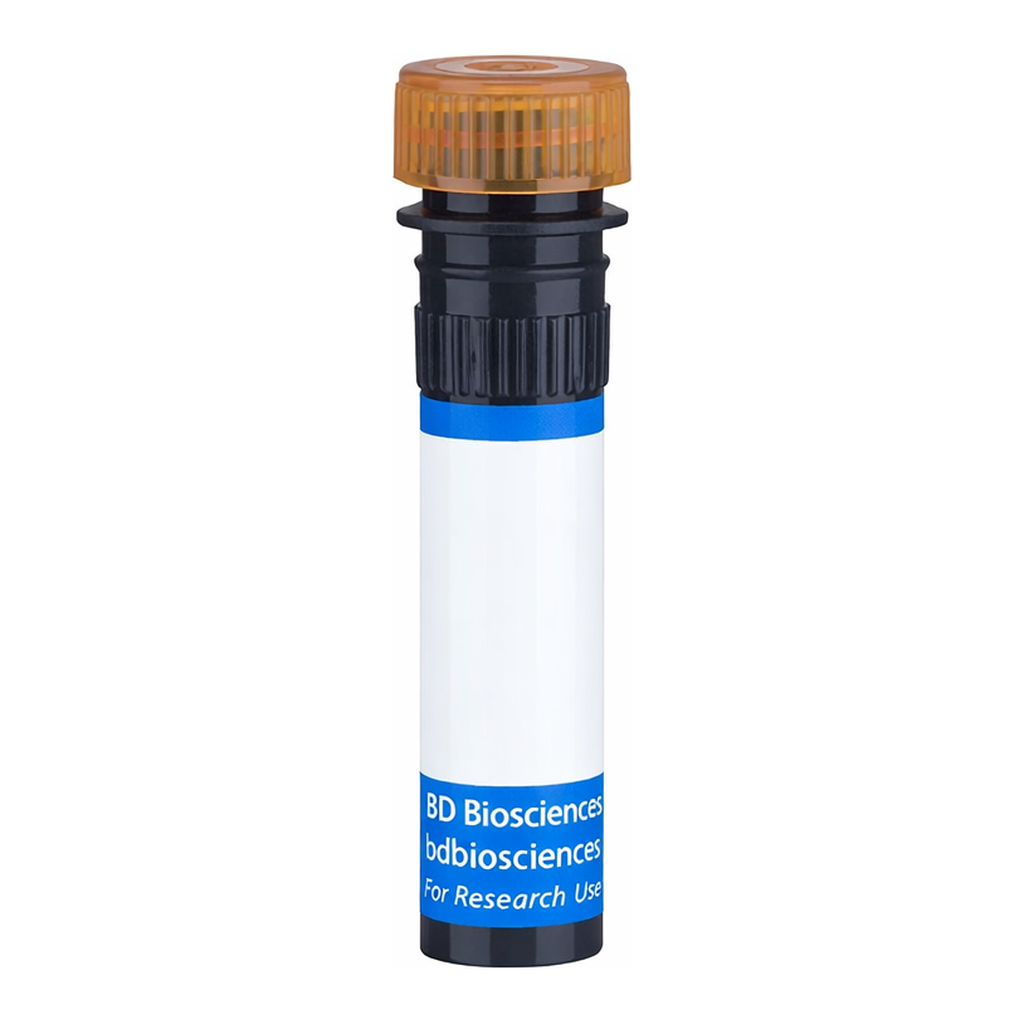 BD BB700 Mouse Anti-Human EGF Receptor