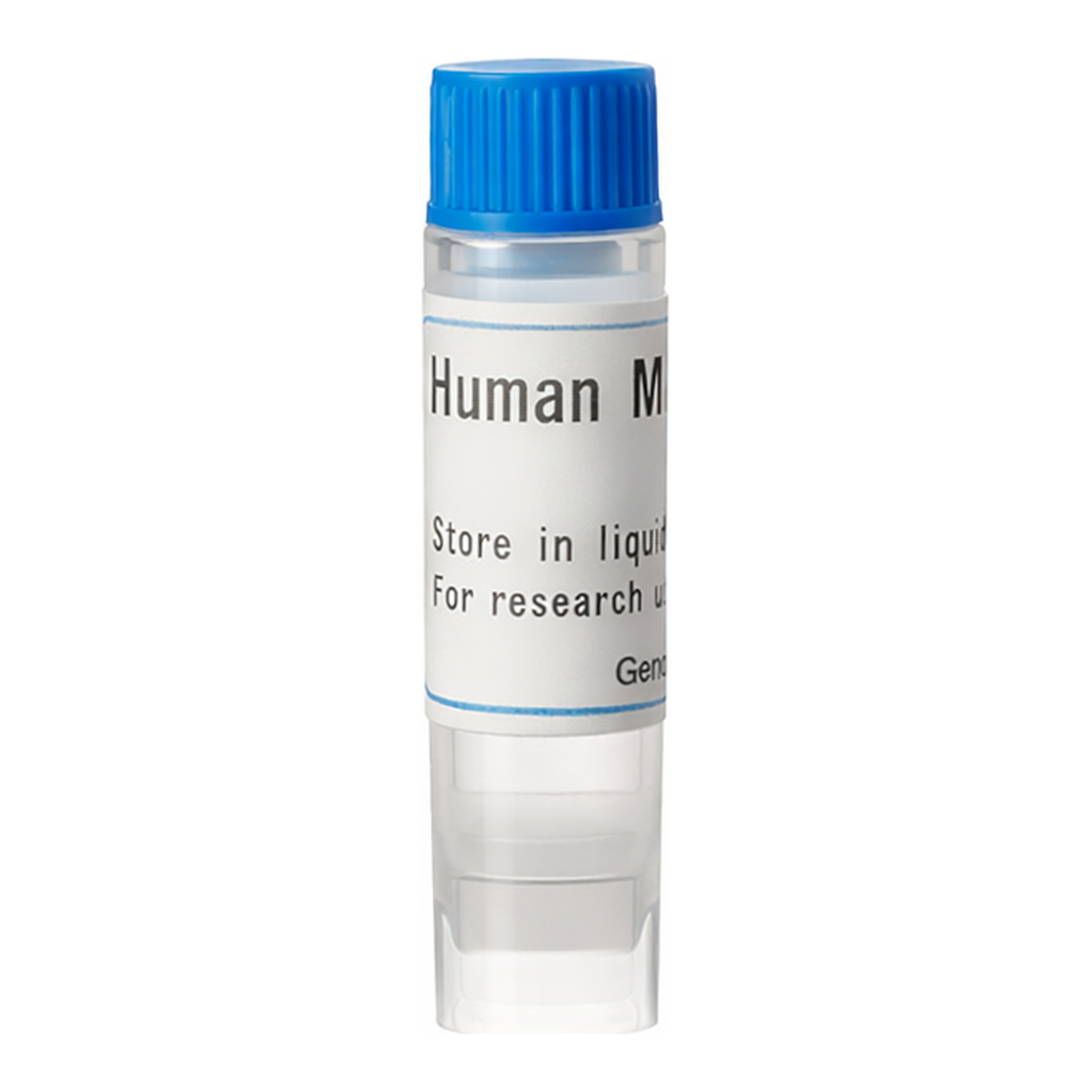 Thermo Fisher Scientific Human OAT3 (G) SLC Transporter Cells