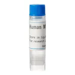 Thermo Fisher Scientific Human OAT3 (G) SLC Transporter Cells